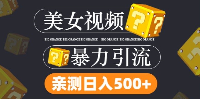 搬运tk美女视频全网分发，日引s粉300+，轻松变现，不限流量不封号【揭秘】-最全项目网
