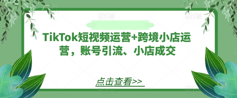 TikTok短视频运营+跨境小店运营，账号引流、小店成交-最全项目网
