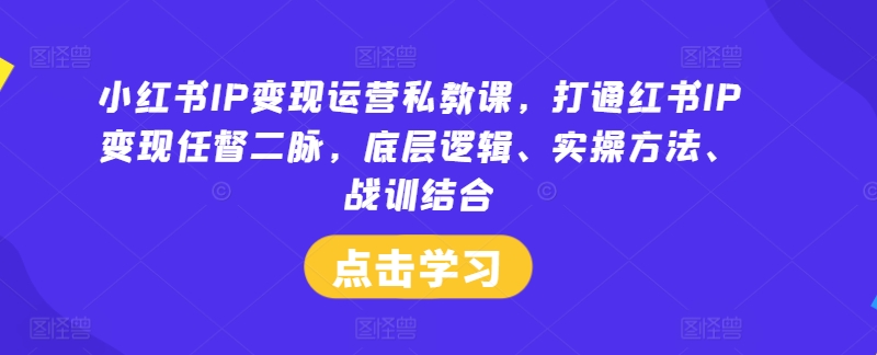 小红书IP变现运营私教课，打通红书IP变现任督二脉，底层逻辑、实操方法、战训结合-最全项目网