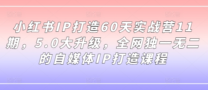 小红书打爆款实战课，从0到1起号实战，实现小红书的运营突破-最全项目网