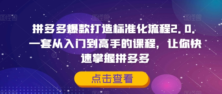 拼多多爆款打造标准化流程2.0，一套从入门到高手的课程，让你快速掌握拼多多-最全项目网
