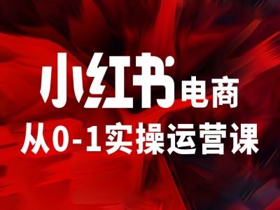 小红书电商从0-1实操运营课，让你从小白到精英-最全项目网
