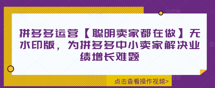 拼多多运营【聪明卖家都在做】无水印版，为拼多多中小卖家解决业绩增长难题-最全项目网