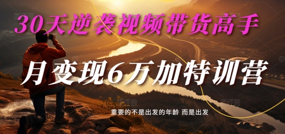 30天逆袭视频带货高手，单月变现6万加特训营-麦子甜-最全项目网