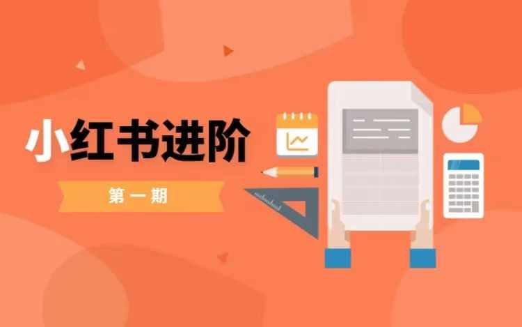 小红书进阶篇，零基础小白实战课，普通人变现的课程-最全项目网