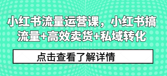 小红书流量运营课，小红书搞流量+高效卖货+私域转化-最全项目网
