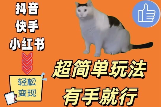 超简单玩法，有手就行，靠猫咪视频日入500+【揭秘】-最全项目网