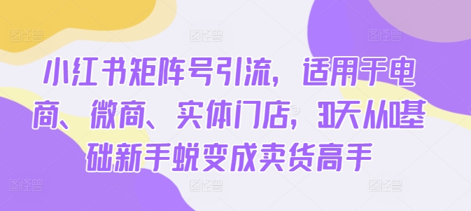 小红书矩阵号引流，适用于电商、微商、实体门店，30天从0基础新手蜕变成卖货高手-最全项目网