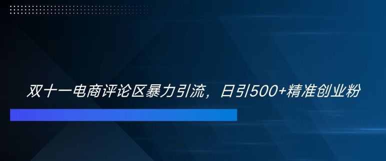 双十一电商评论区暴力引流，日引500+精准创业粉【揭秘】-最全项目网