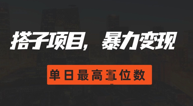 2024搭子玩法，0门槛，暴力变现，单日最高破四位数【揭秘】-最全项目网