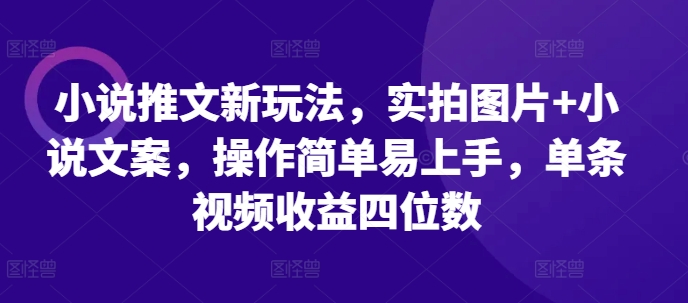 小说推文新玩法，实拍图片+小说文案，操作简单易上手，单条视频收益四位数-最全项目网