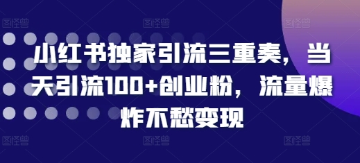 小红书独家引流三重奏，当天引流100+创业粉，流量爆炸不愁变现【揭秘】-最全项目网