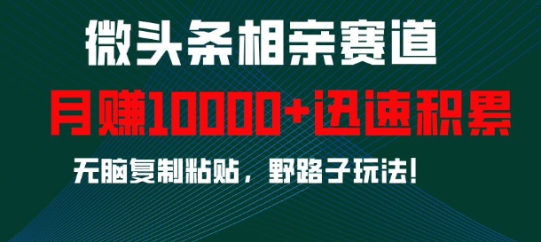 微头条相亲赛道，迅速积累，无脑复制粘贴，野路子玩法，月入1w-最全项目网