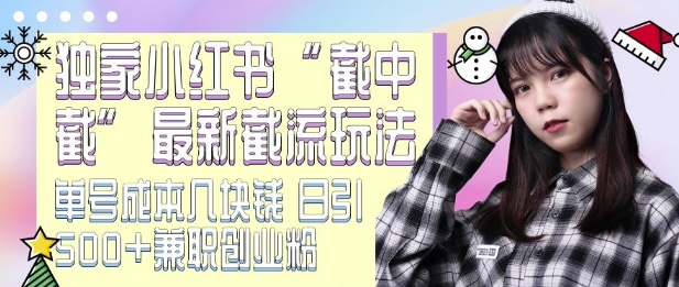 最新小红书截流玩法 独家截中截 单号成本几块钱 日引500+CY粉JZ粉-最全项目网