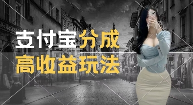 支付宝分成计划新玩法，利用交通事故视频，赚收益，轻松月入过W，操作简单【揭秘】-最全项目网