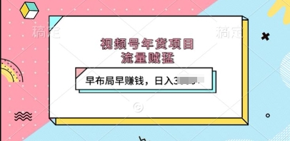 视频号年货项目，流量贼猛，早布局早挣钱，日入上k【揭秘】-最全项目网