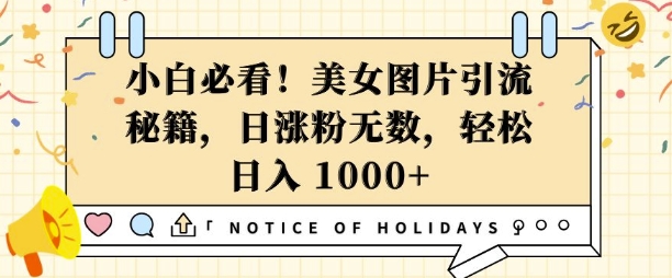 小白必看，美女图片引流秘籍，日涨粉无数，轻松日入几张【揭秘】-最全项目网
