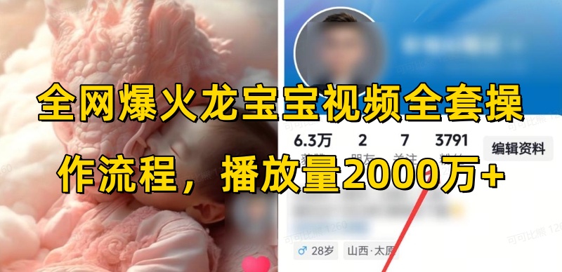 全网爆火龙宝宝视频全套操作流程，播放量2000万+-最全项目网