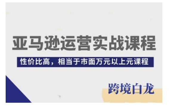 亚马逊运营实战课程，亚马逊从入门到精通，性价比高，相当于市面万元以上元课程-最全项目网