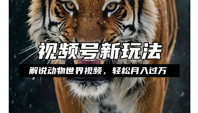 利用动物世界解说视频，赚分成计划收益，轻松月入过W，操作简单【揭秘】-最全项目网