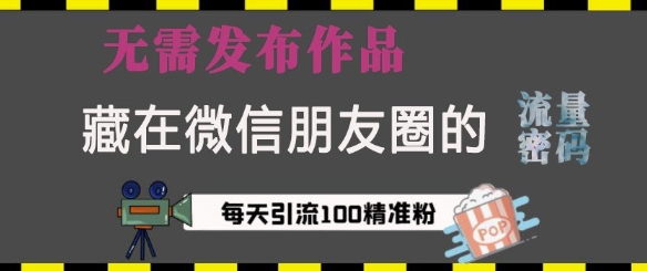 藏在微信朋友圈的流量密码，无需发布作品，单日引流100+精准创业粉【揭秘】-最全项目网