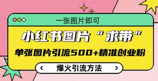 小红书图片‘求带’爆火引流法，单张图片引流500+精准创业粉【揭秘】-最全项目网