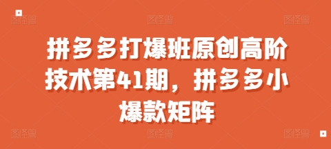 拼多多打爆班原创高阶技术第41期，拼多多小爆款矩阵-最全项目网