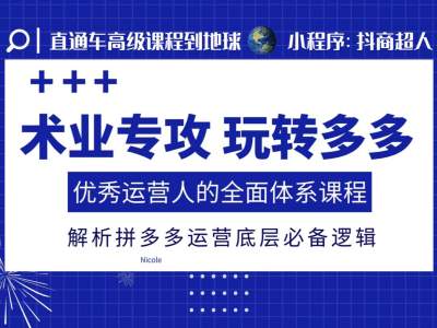 术业专攻玩转多多，优秀运营人的全面体系课程，解析拼多多运营底层必备逻辑-最全项目网