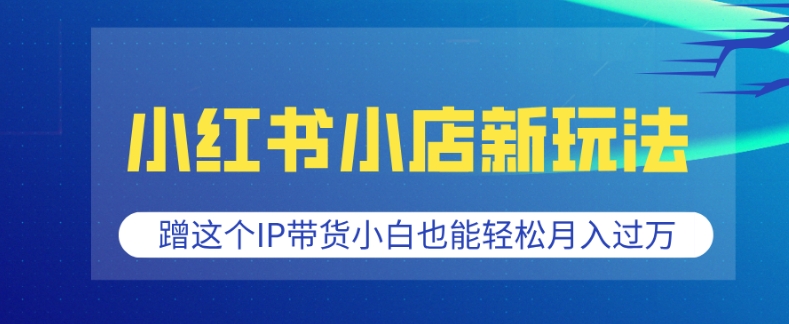 小红书小店新玩法，蹭这个IP带货，小白也能轻松月入过W【揭秘】-最全项目网