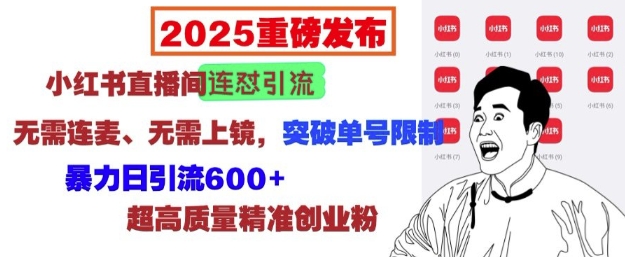 2025重磅发布：小红书直播间连怼引流，无需连麦、无需上镜，突破单号限制，暴力日引流600+-最全项目网