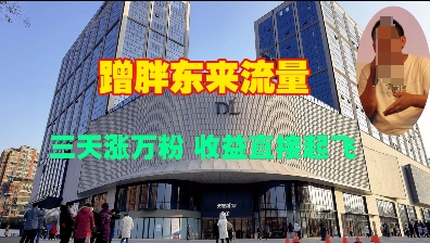 蹭胖东来流量，三天涨万粉，收益直接起飞-最全项目网