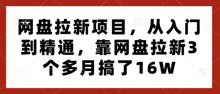 网盘拉新项目，从入门到精通，靠网盘拉新3个多月搞了16W-最全项目网