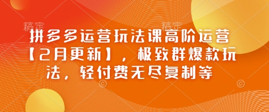拼多多运营玩法课高阶运营【2月更新】，极致群爆款玩法，轻付费无尽复制等-最全项目网