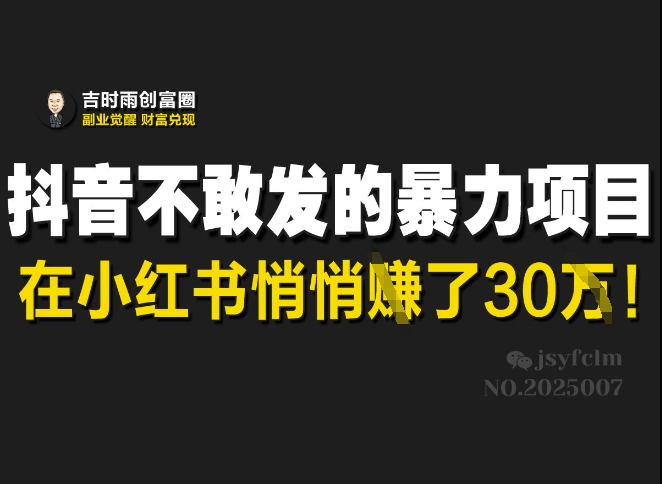 抖音不敢发的暴利项目，在小红书悄悄挣了30W-最全项目网