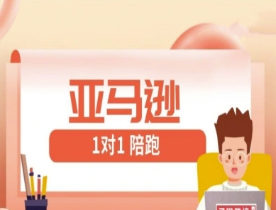 亚马逊1对1陪跑课(FBA/FBM精铺)跨境亚马逊教程-最全项目网
