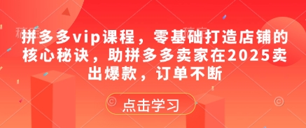 拼多多vip课程，零基础打造店铺的核心秘诀，助拼多多卖家在2025卖出爆款，订单不断-最全项目网