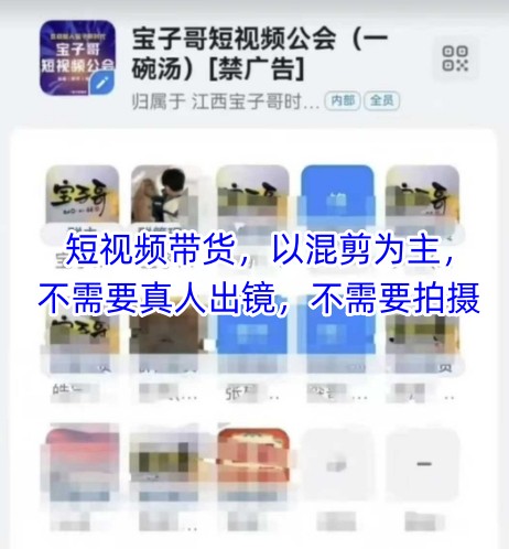 宝子哥头部团队短视频带货，以混剪为主，不需要真人出镜，不需要拍摄-最全项目网