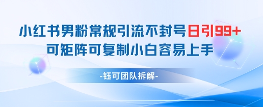 小红书男粉常规引流不封号日引99+变现简单 可矩阵可复制小白容易上手-最全项目网