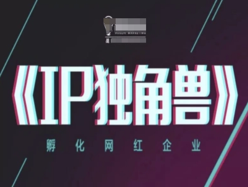IP独角兽，孵化网红企业，ip教程-最全项目网