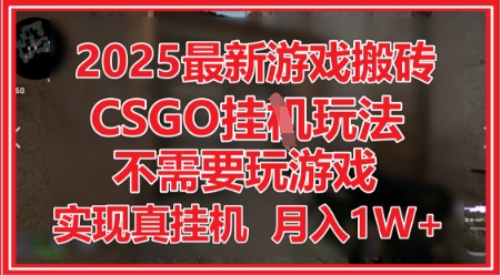 2025最新游戏搬砖，CSGO挂G，不需要玩游戏，实现真挂G，月入1W+【揭秘】-最全项目网
