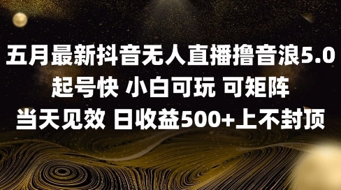 2025五月最新无人直播撸音浪单日产出5张+实操教程【揭秘】-最全项目网