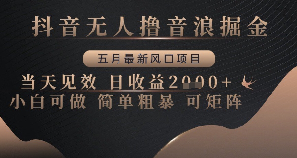 抖音无人撸音浪掘金，五月最新风口项目，当天见效，日收益多张，小白可做简单粗暴可矩阵【揭秘】-最全项目网