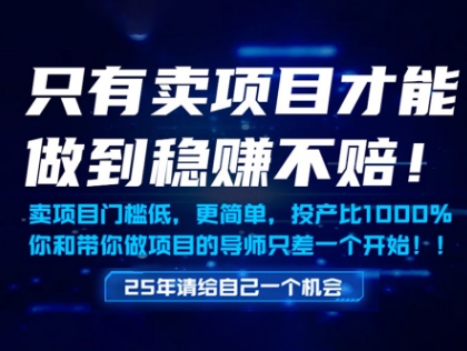 只有卖项目才能做到稳挣不赔，门槛低，更简单，你也可以年入百个W【揭秘】-最全项目网