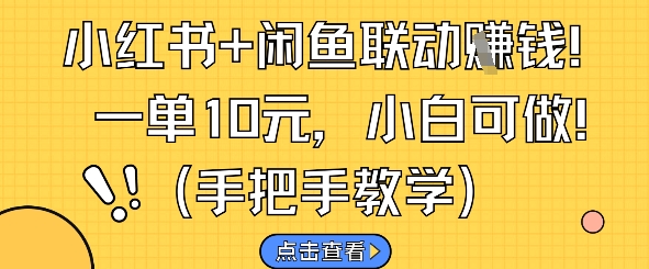 小红书+闲鱼联动挣钱，一单10元，小白可做-最全项目网