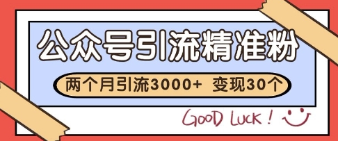公众号精准粉引流玩法，2个月3000+精准粉，变现30个W【揭秘】-最全项目网