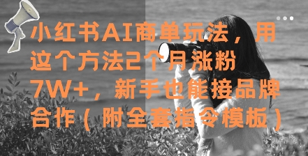 小红书AI商单玩法，用这个方法2个月涨粉7W+，新手也能接品牌合作(附全套指令模板)-最全项目网