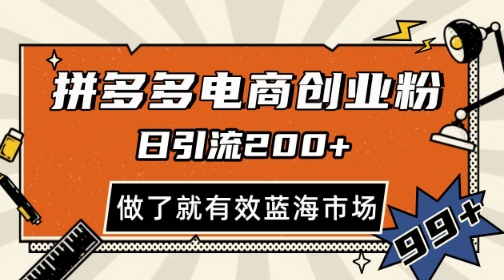 拼多多引流电商创业粉，日引200+，可矩阵放大，做了就有效【揭秘】-最全项目网