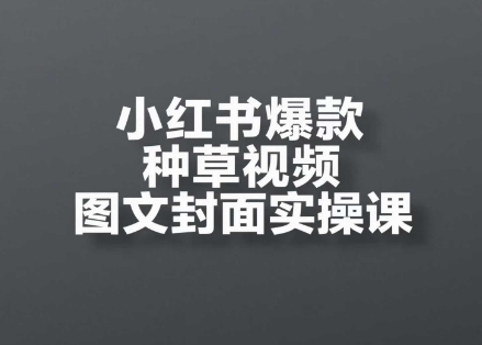 小红书爆款种草视频图文封面实操课，​开店、选品、引流、变现全流程-最全项目网