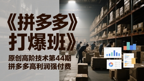《拼多多打爆班》原创高阶技术第44期，拼多多高利润强付费-最全项目网
