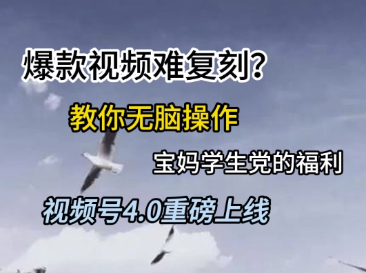视频号4.0重磅上线，爆款视频难复刻？教你无脑操作宝妈学生党的福利【揭秘】-最全项目网